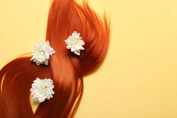 Sarı Arka Planda Kasımpatı Çiçekleri Olan Güzel Kızıl Saçlı Yakın — Stok fotoğraf