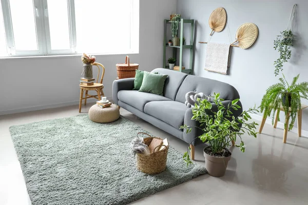 Interior Light Living Room Sofa Wicker Basket Houseplants — Stock Photo, Image