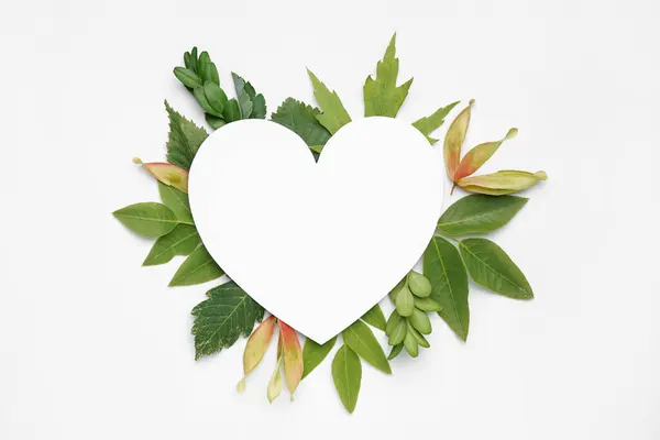 Blank Heart Shaped Card Green Leaves White Background — Stock Photo, Image
