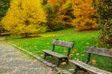 Sonbahar parkındaki ahşap bankların manzarası