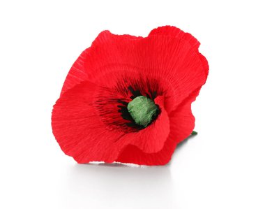 Kırmızı gelincik çiçeği beyaz arka planda izole edilmiş. Kanada 'da Anma Günü