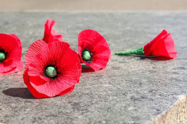 Taş anıtta bir sürü gelincik çiçeği var. Kanada 'da Anma Günü