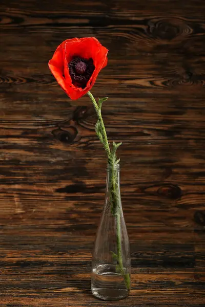 Стеклянная Ваза Красивым Цветком Мака Деревянном Фоне — стоковое фото