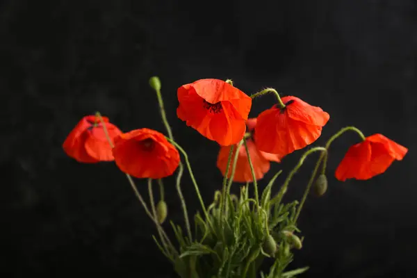 Ramo Hermosas Flores Amapola Sobre Fondo Oscuro Primer Plano Día —  Fotos de Stock