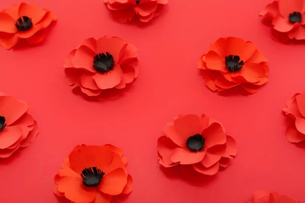 Mnoho Máku Květiny Červeném Pozadí Den Památky Kanadě — Stock fotografie
