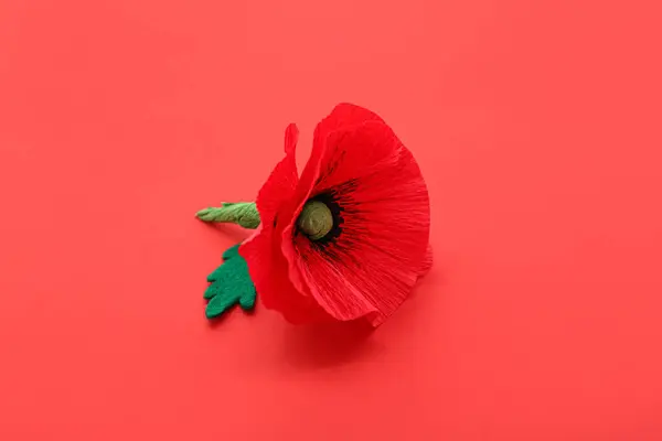 Flor Amapola Sobre Fondo Rojo Día Del Recuerdo Canadá —  Fotos de Stock