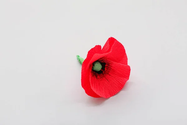 Flor Papoula Vermelha Fundo Cinza Dia Memória Canadá — Fotografia de Stock
