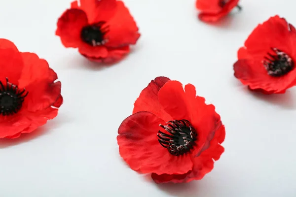 Κόκκινα Λουλούδια Παπαρούνας Γκρι Φόντο Ημέρα Μνήμης Στον Καναδά — Φωτογραφία Αρχείου