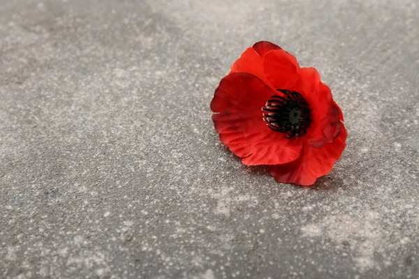 Vörös Mákvirág Grunge Szürke Háttérrel Emlékezet Napja Kanadában — Stock Fotó