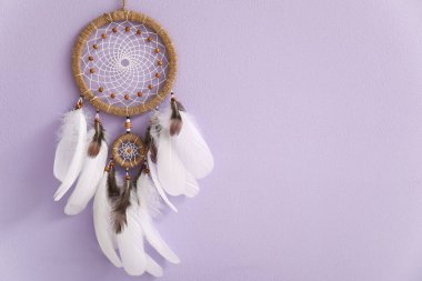 Leylak duvarında asılı düş kapanı