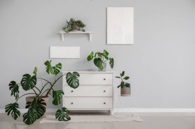 Yeşil ev bitkileri ve çekmeceleri olan ışık odasının içi