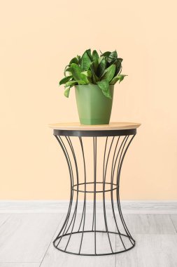 Bej duvarın yanındaki masada yeşil bitki var.