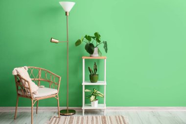 Rafların, çiçeklerin ve sandalyenin bulunduğu şık bir oda.