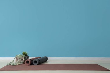 Spor salonunda mavi duvarın yanında bitki olan spor paspasları.
