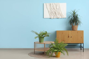 Ev bitkileri, çekmeceler ve masalarla dolu bir oda.