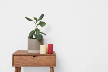 Işık duvarının yanındaki masada mumları olan yeşil bitki.