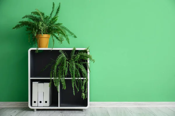 Scaffale Con Piante Appartamento Cartelle Vicino Muro Verde Camera — Foto Stock