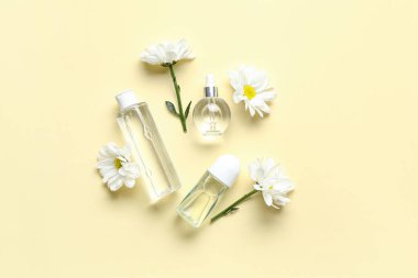 Renkli arka planda kozmetik ürünleri ve papatya çiçekleri ile kompozisyon