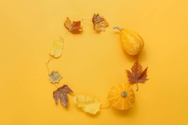 Turuncu arkaplanda balkabağı ve yapraklardan yapılmış çerçeve