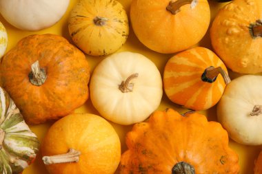 Sarı arka planda farklı taze balkabakları, yakın plan