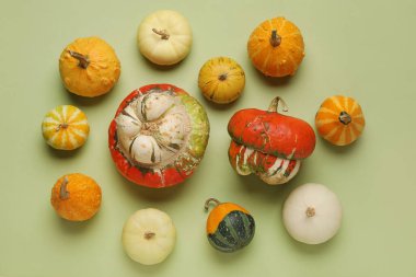 Yeşil arka planda farklı taze balkabakları