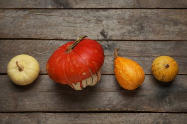 Gri ahşap arka planda farklı taze balkabakları