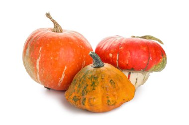 Beyaz arkaplanda farklı taze balkabakları