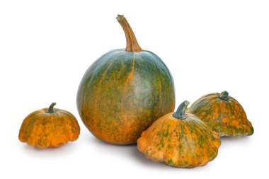 Beyaz arkaplanda farklı taze balkabakları