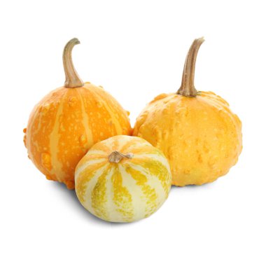 Beyaz arkaplanda taze balkabakları