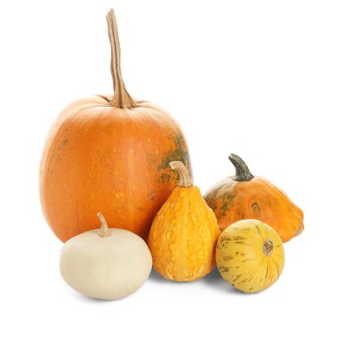 Beyaz arkaplanda farklı taze balkabakları