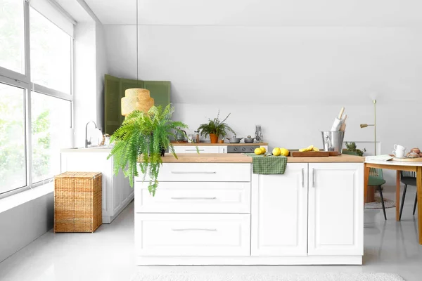 Weiße Theken Mit Zimmerpflanzen Geschirr Und Zitronen Der Modernen Küche — Stockfoto