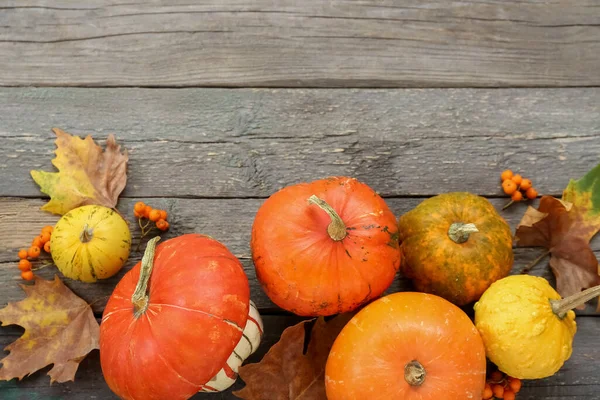 Balkabakları, viburnum ve ahşap arka planda yapraklarla sonbahar kompozisyonu