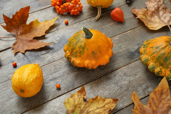 Autumn Composition Pumpkins Viburnum Leaves Grey Wooden Background — Stock Photo, Image