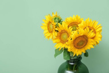 Vase with sunflowers near green wall, closeup
