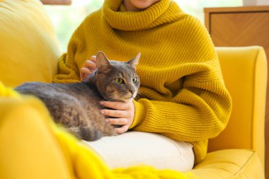 Evdeki kanepede kedisi olan genç bir kadın, yakın plan.