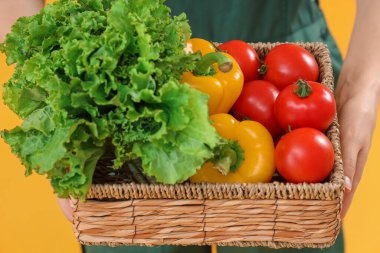 Sarı arka planda farklı olgun sebzelerle dolu sepeti olan genç kadın çiftçi, yakın plan.