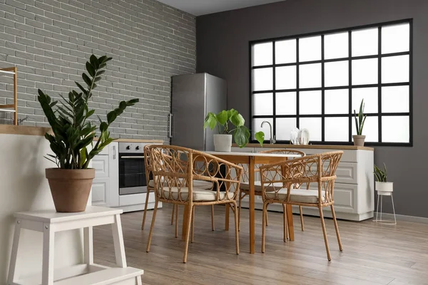 Interior Cozinha Moderna Decorada Com Plantas Sala Diferentes — Fotografia de Stock
