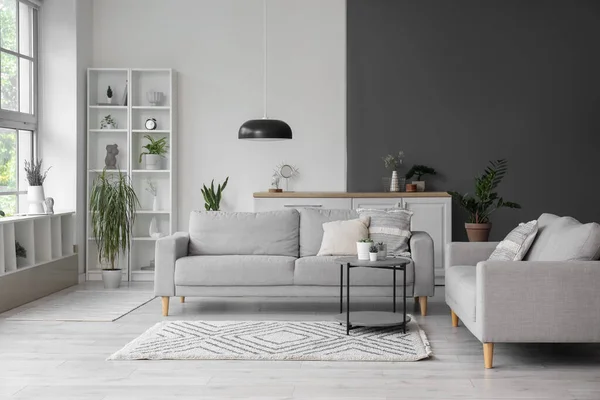 Interior Light Living Room Grey Sofas Coffee Table — Stock Photo, Image
