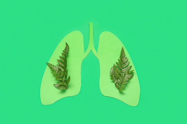 Pulmões Papel Com Folhas Fundo Verde Conceito Câncer Pulmão — Fotografia de Stock