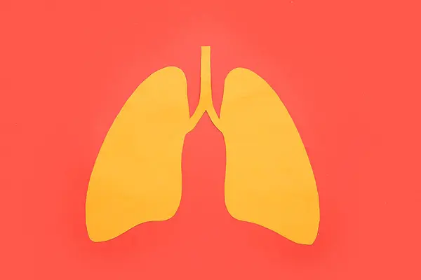 Papierowe Płuca Czerwonym Tle Koncepcja Raka Płuc — Zdjęcie stockowe