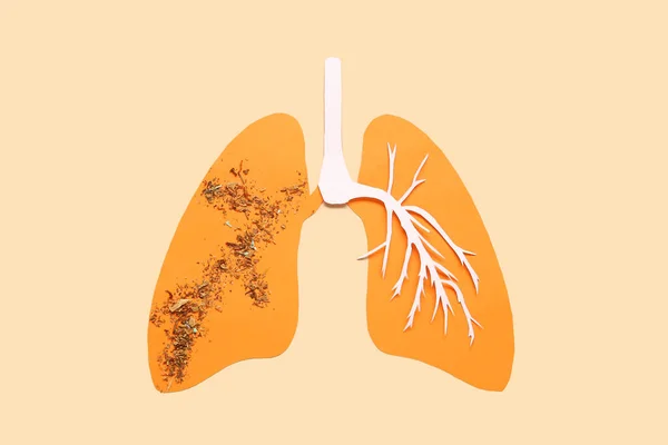 纸肺与烟草的米色背景 肺癌概念 — 图库照片