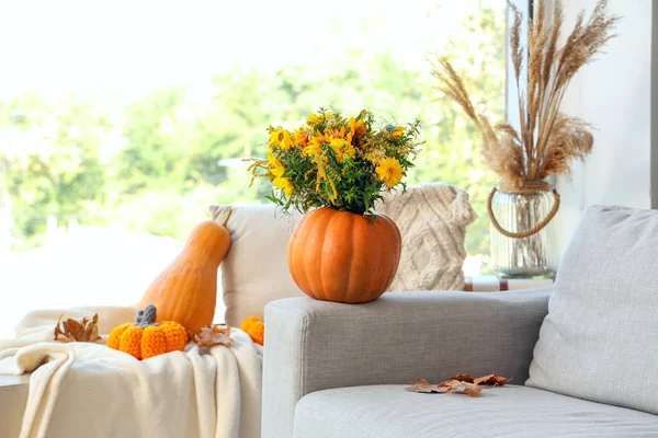 Pumpkin with autumn flowers on sofa in living room