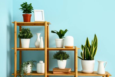 Mavi duvarın yanında dekoru ve çiçekleri olan raf ünitesi.