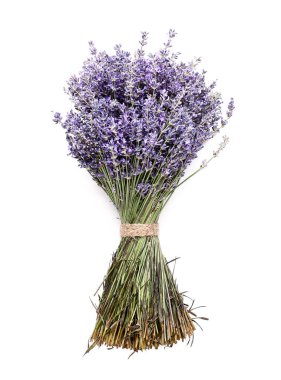 Beyaz arka planda bir buket güzel lavanta çiçeği