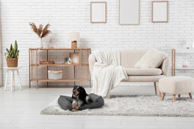 Oturma odasındaki evcil hayvan yatağında sevimli cocker spaniel.