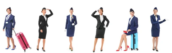 Zestaw Pięknych Stewardess Białym Tle — Zdjęcie stockowe