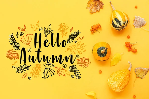 Pumpkins Viburnum Leaves Yellow Background Hello Autumn — Stock Photo, Image