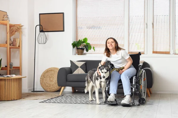 stock image Young woman in wheelchair and with husky dog at home