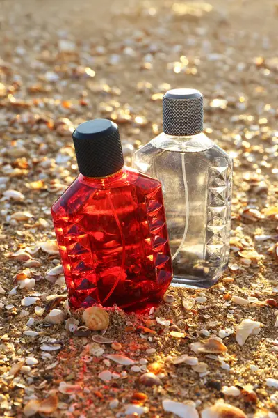 Different Bottles Elegant Perfume Seashells Beach Sand — Stock Photo, Image