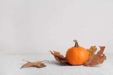 Cadılar Bayramı kutlaması için kabak ve kuru yapraklar ışık arka planda